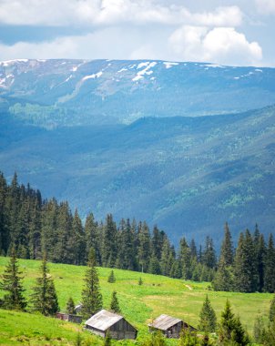 Güneşli bir yaz gününde, Ukrayna 'daki Karpat Dağları' nın arka planına karşı bir dağ çayırı. Güzel dağ manzarası
