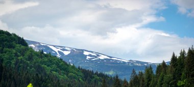 Yazın başında Ukrayna 'daki Karpat dağlarının manzarası, dinlenme ve dağlarda seyahat, güzel manzara.