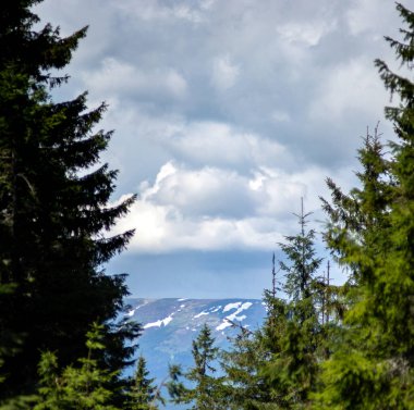 Yazın başında Ukrayna 'daki Karpat dağlarının manzarası, dinlenme ve dağlarda seyahat, güzel manzara.