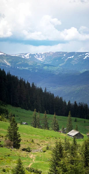 夏初在乌克兰的喀尔巴阡山全景 在山中休息和旅行 美丽的风景 — 图库照片