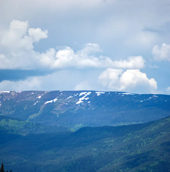 Yazın başında Ukrayna 'daki Karpat dağlarının manzarası, dinlenme ve dağlarda seyahat, güzel manzara.