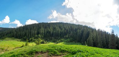 Dağ çayırının manzarası, mavi gökyüzü ve bulutlar. Dağın manzarası. Seyahat ve tatil dağlarda.