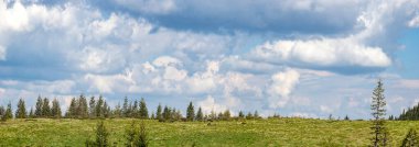 Dağ çayırının manzarası, mavi gökyüzü ve bulutlar. Dağın manzarası. Seyahat ve tatil dağlarda.