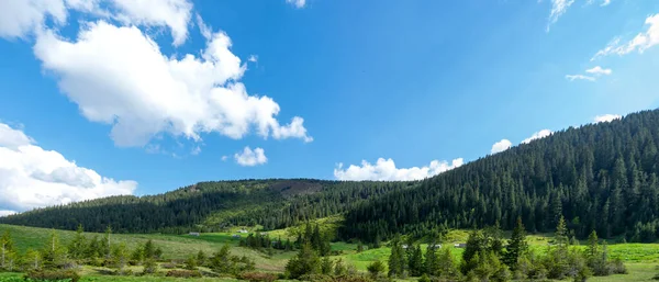 高山草甸的全景 蓝天蓝云 从山上看 在山上旅行和度假 — 图库照片