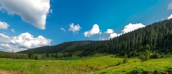 高山草甸的全景 蓝天蓝云 从山上看 在山上旅行和度假 — 图库照片