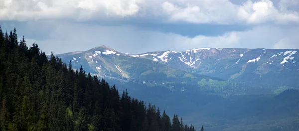 Karpatenpanorama Beginn Des Sommers Der Ukraine Erholung Und Reisen Den — Stockfoto