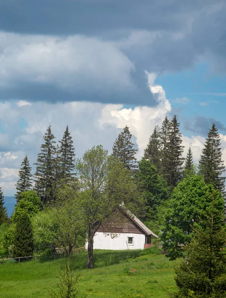 小房子坐落在陡峭的山坡上 在喀尔巴阡山脉的绿林间 在群山中休息和旅行 美丽的风景 — 图库照片