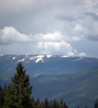 Bir bahar günü Ukrayna Karpatları 'nda sıradağlar. Dinlen ve dağlarda dolaş. Güzel manzara.