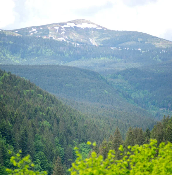 Horské Pohoří Ukrajinských Karpat Jaře Odpočiňte Vydejte Hor Krásná Krajina — Stock fotografie