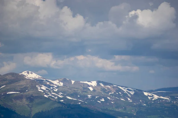 Karpaten Aan Het Begin Van Zomer Oekraïne Rust Reizen Bergen — Stockfoto