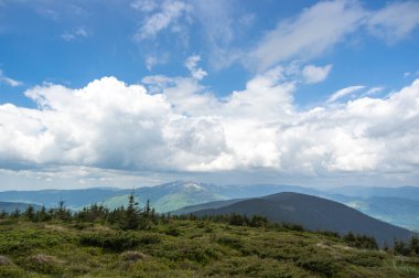 Yeşil bir ormanın arka planında karda bahar dağları. Ukrayna 'daki Karpatlar' ın güzel manzarası.
