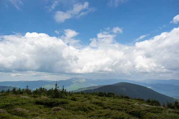 Wiosenne Góry Śniegu Tle Zielonego Lasu Piękna Panorama Karpat Ukrainie — Zdjęcie stockowe