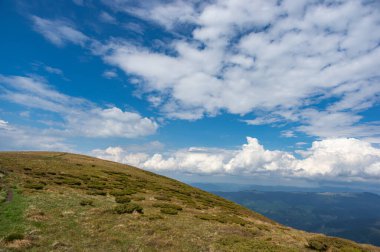 Ukrayna 'daki Karpat dağlarında yeşil çayır ve mavi gökyüzü. Güzel manzara.