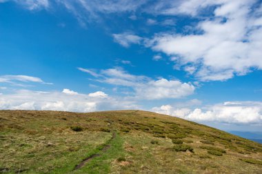 Ukrayna 'daki Karpat dağlarında yeşil çayır ve mavi gökyüzü. Güzel manzara.
