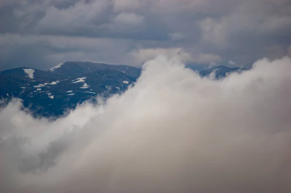 Дощова Туманна Погода Карпатських Горах Влітку Гірський Ландшафт — стокове фото