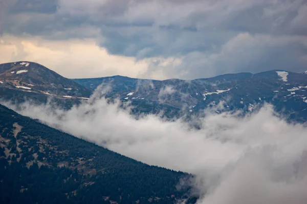 Yazın Karpatya Dağlarında Yağmurlu Sisli Hava Dağ Manzarası — Stok fotoğraf