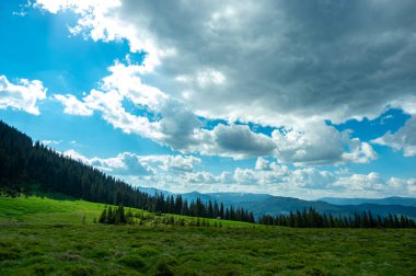 Ukrayna 'daki Karpat Dağları' ndaki kozalaklı ormanların arasında bir çayır. Ukrayna 'ya git ve dinlen. Dağ manzarası.