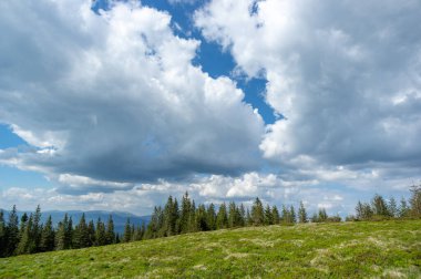 Ukrayna 'daki Karpat Dağları' ndaki kozalaklı ormanların arasında bir çayır. Ukrayna 'ya git ve dinlen. Dağ manzarası.