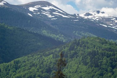 Ukrayna 'daki Karpat dağlarının zirveleri. Dağ manzarası. Masaüstü duvar kağıdı.