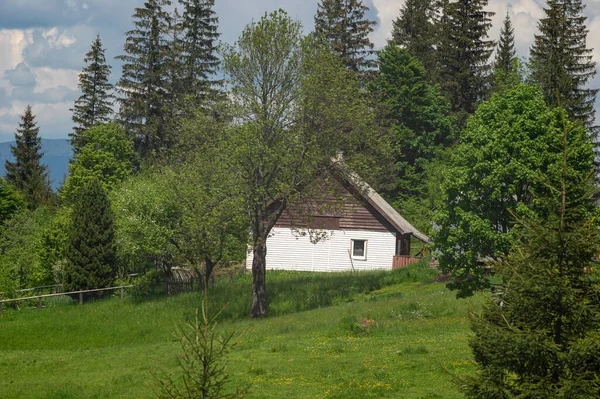 Mały Domek Stromym Zboczu Góry Karpatach Wśród Zielonych Lasów Wypoczynek — Zdjęcie stockowe