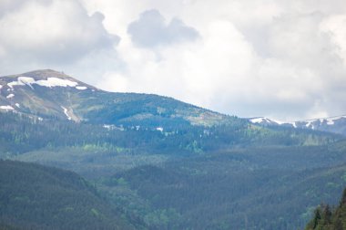 Ukrayna 'daki Karpat dağlarının zirveleri. Dağ manzarası