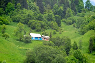 Yazın Ukrayna Karpatlarının Yasinia köyü, çok güzel bir manzara.