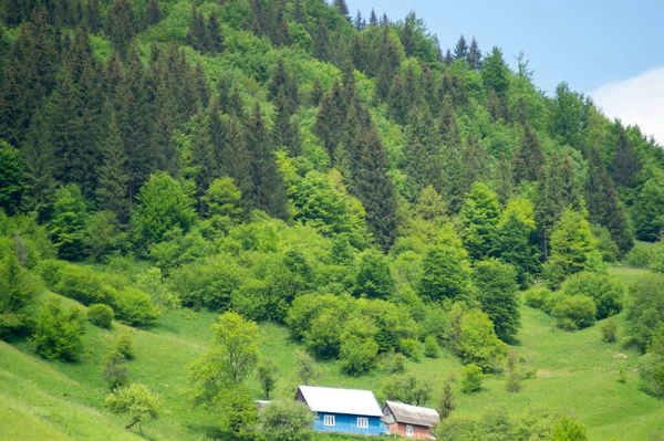 夏天在乌克兰喀尔巴阡山的Yasinia村 风景秀丽 — 图库照片