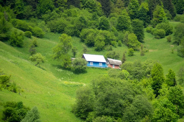 Yasinia Village Ukrainian Carpathians Summer Beautiful Landscape Royalty Free Stock Images