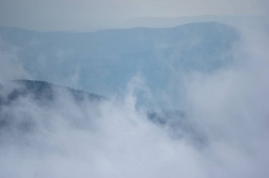 Karpat Dağları 'ndaki bir dağ sırasındaki sis. Güzel manzara