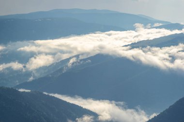 Karpat Dağları 'ndaki bir dağ sırasındaki sis. Güzel manzara