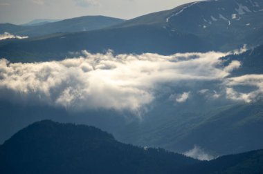 Karpat Dağları 'ndaki bir dağ sırasındaki sis. Güzel manzara