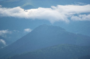 Karpat Dağları 'ndaki bir dağ sırasındaki sis. Güzel manzara