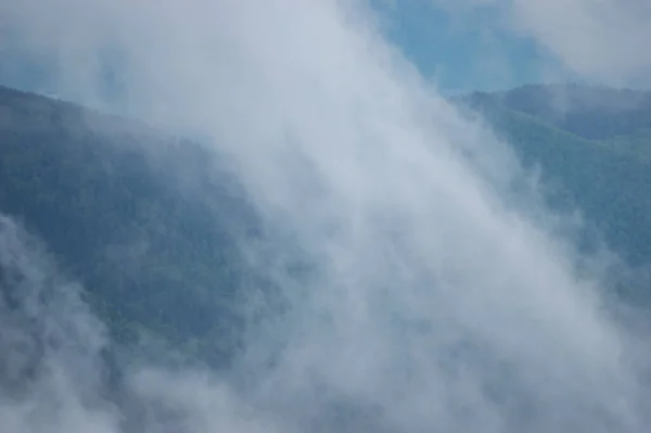 Fog Mountain Range Carpathian Mountains Beautiful Landscape — Stock Photo, Image