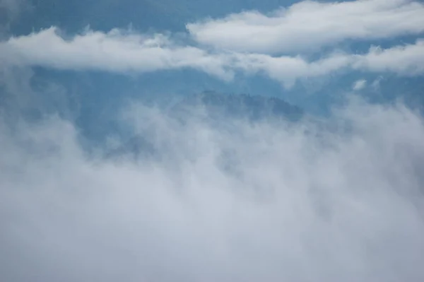 Fog Mountain Range Carpathian Mountains Beautiful Landscape — Stock Photo, Image