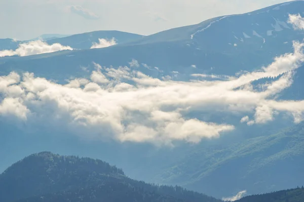 Mist Een Bergketen Karpaten Prachtig Landschap — Stockfoto