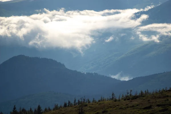 カルパチア山脈の山の範囲で霧 美しい風景 — ストック写真