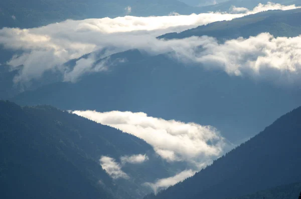 Fog Mountain Range Carpathian Mountains Beautiful Landscape — Stock Photo, Image