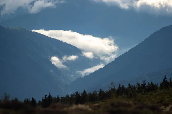 Niebla Una Cordillera Las Montañas Los Cárpatos Hermoso Paisaje — Foto de Stock