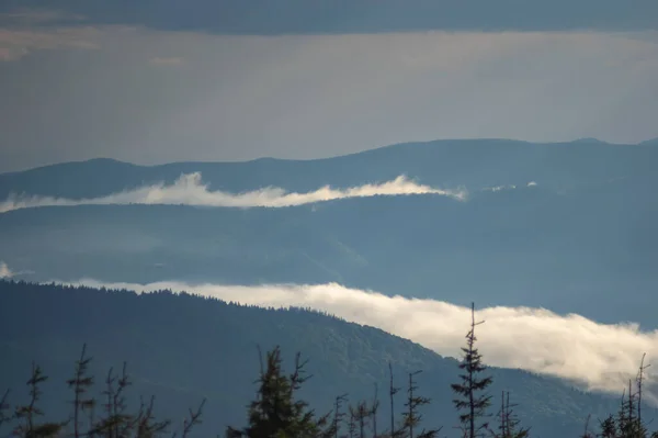 Niebla Una Cordillera Las Montañas Los Cárpatos Hermoso Paisaje — Foto de Stock