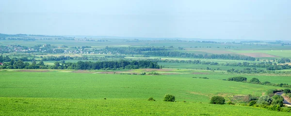 Красива Панорама Сільськогосподарських Полів Пагорбів Літній День — стокове фото