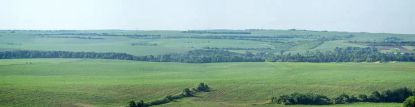 Красива Панорама Сільськогосподарських Полів Пагорбів Літній День — стокове фото