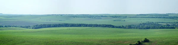 Gyönyörű Panoráma Mezőgazdasági Területek Dombok Egy Nyári Napon — Stock Fotó