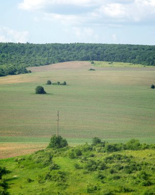 Bir yaz gününde tarımsal tarlaların ve tepelerin güzel manzarası