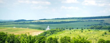 Güzel yaz manzarası güneşli bir günde ekilen yeşil tarla