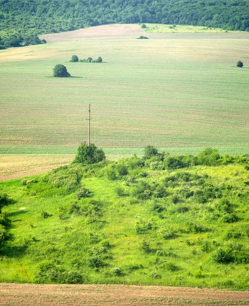 Beautiful Panorama Agricultural Fields Hills Summer Day — Stock Photo, Image