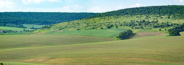 Beautiful Panorama Agricultural Fields Hills Summer Day — Stockfoto