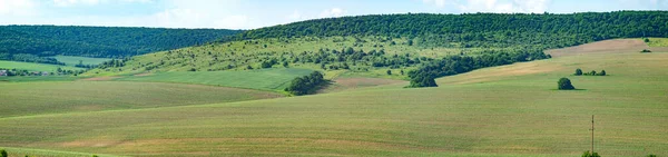 Piękna Panorama Pól Uprawnych Wzgórz Letni Dzień — Zdjęcie stockowe