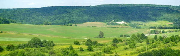 Bonita Paisagem Verão Campo Semeado Verde Dia Ensolarado — Fotografia de Stock