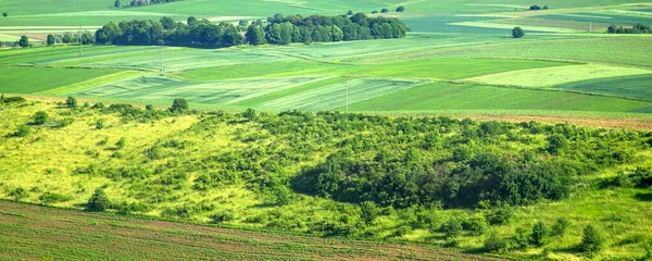 Beautiful Summer Countryside Landscape Ukraine Forest Field Village Sunny Day — 图库照片