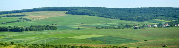 Bela Paisagem Rural Verão Ucrânia Campo Florestal Aldeia Dia Ensolarado — Fotografia de Stock